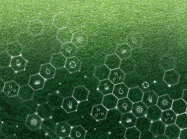 NPK Molecule Image